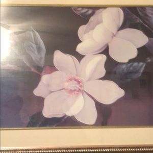 Meet your Posher, Llolanda